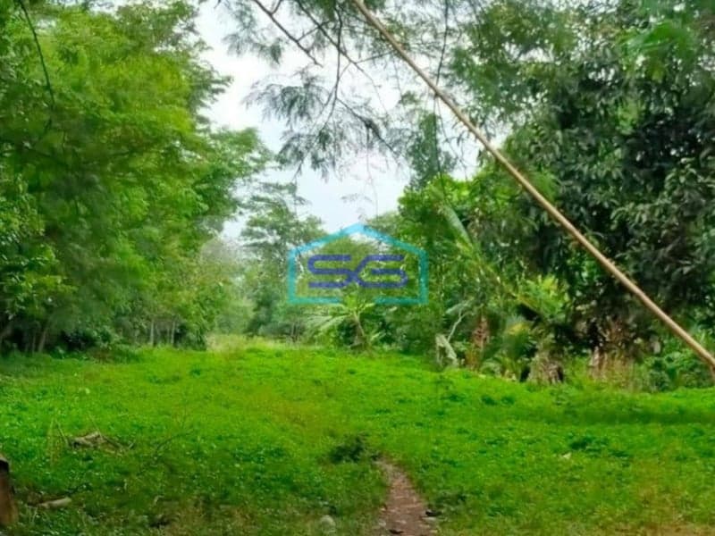 Dijual Tanah Luas 17 Ha di Desa Cangkudu Balaraja Tangerang
