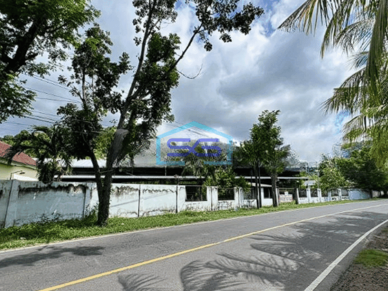 Dijual Tanah Luas 2000 m² SHM di Buleleng Bali