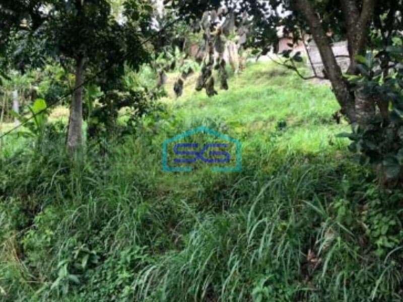 Dijual Murah Tanah Kavling Di Cipulus Cilengkrang Cibiru Bandung LT 1849m2