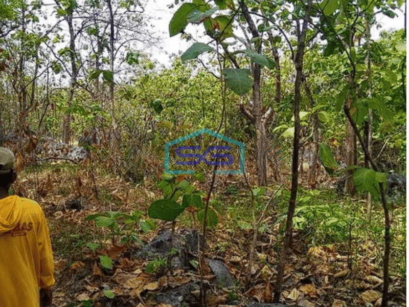 Dijual Tanah Tuban,Ds Prunggahan Kulon, Kec. Semanding, Tuban LT 4738m2