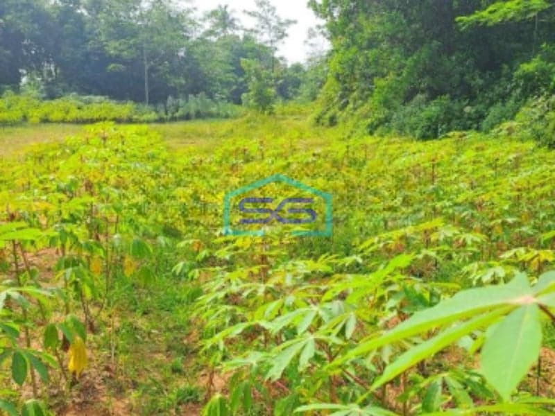 Dijual Tanah Di Tamansari Rumpin Bogor Luas Tanah 2650m2