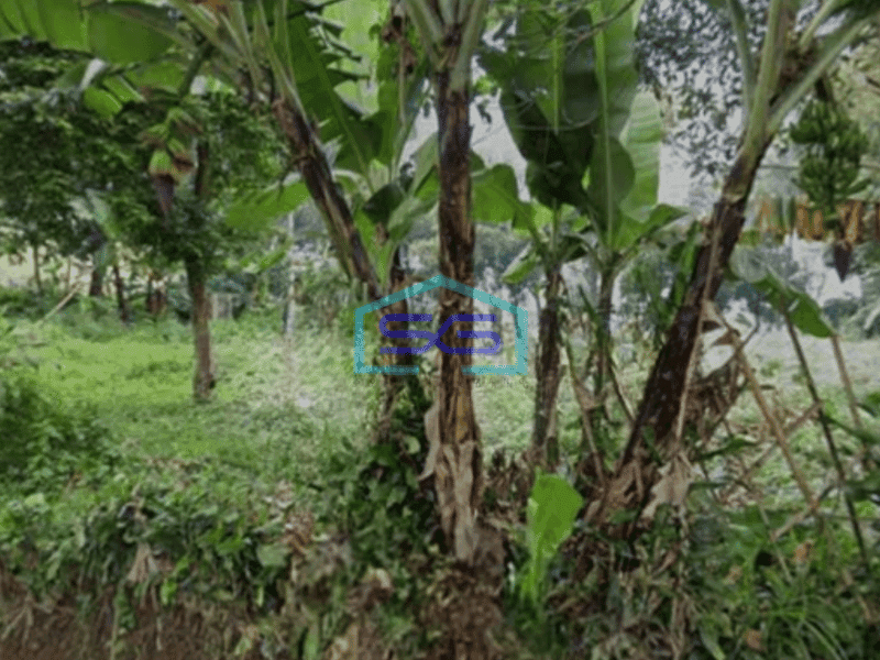 Disewakan Tanah DI Dago Pakar strategis Daerah Cafe Luas Tanah 2000 m²