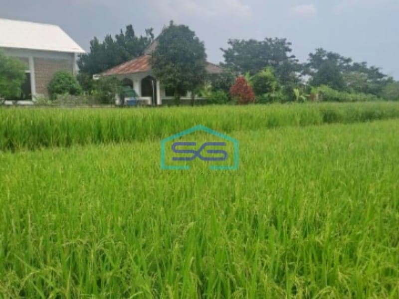 Dijual Tanah Di Ciampea Udik Bogor Luas Tanah 1800m2