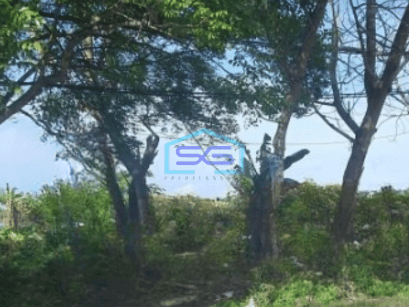 Dijual Tanah Luas 2820 m² di Pakuhaji Tangerang