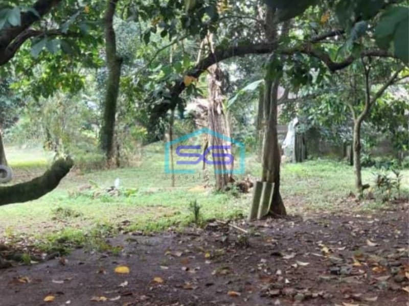 Dijual Tanah Bebas Banjir Luas  3810 m² Lokasi di Curug Tangerang