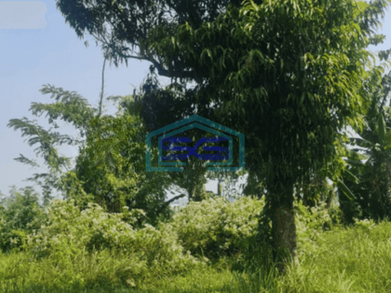 DIJUAL TANAH INDUSTRI DI YONKAV SINGOSARI MALANG