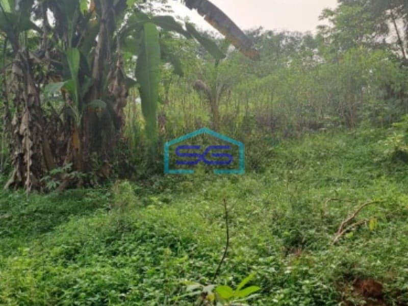 Dijual Tanah Mekar Sari Rumpin Bogor Luas 18000m2 Lokasi Bebas Banjir