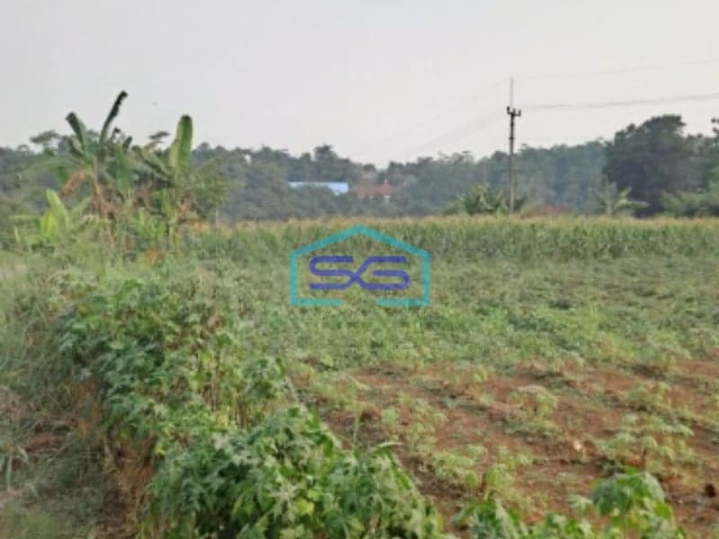 Dijual Tanah Rancabungur Bogor Jawa Barat Luas Tanah 25000m2