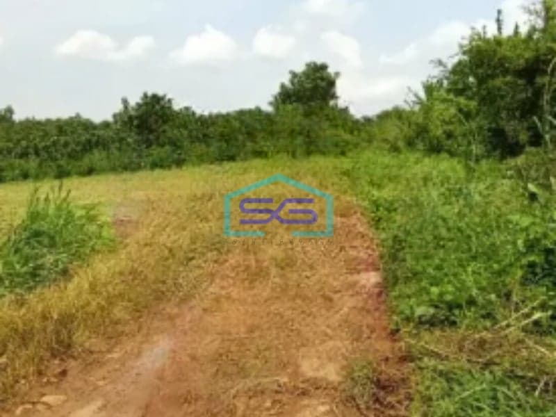 Dijual Cepat Tanah Industri di Subang Jawa Barat Luas 53000m2