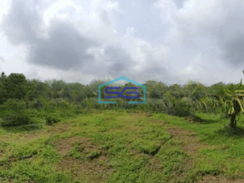 Dijual Tanah Luas 14837 m²di Kedungpring Lamongan Jawa Timur