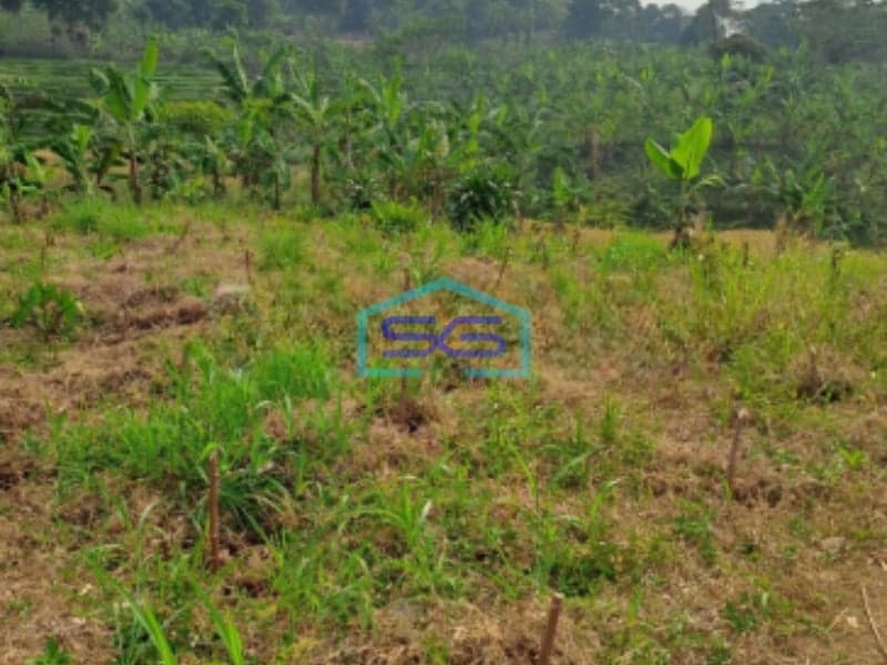 Dijual Tanah di Desa Cibadak Sukamakmur Bogor Jawa Barat LT 3000m2