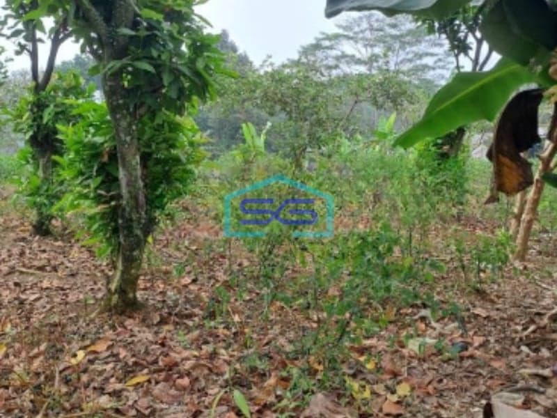 Dijual Tanah Lokasi di Caringin Bogor Luas Tanah 2500m2