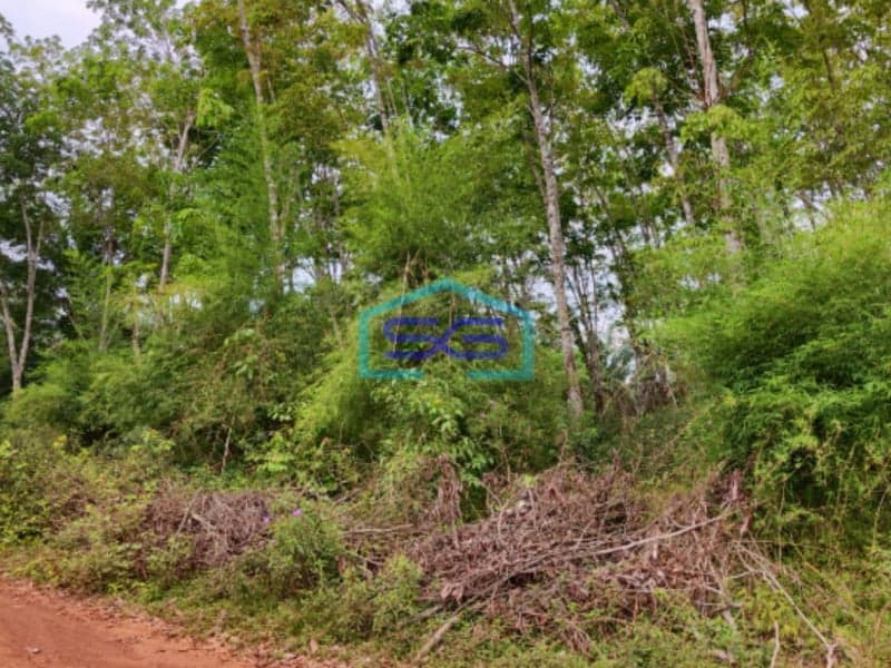 Dijual Tanah di Sembawa Banyuasin Sumatera Selatan Luas 140.000m2