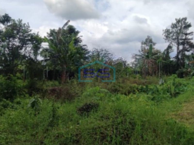 Dijual Tanah Cocok Untuk Usaha Pakem, Sleman Yogyakarta LT 7500m2