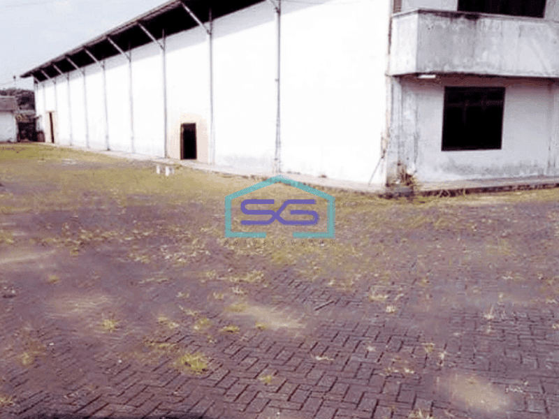 Dijual Gudang LT 1 Ha Ex Pabrik Kayu Pasar Kemis Cikupa Tangerang