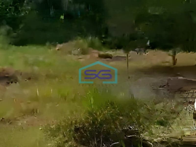 Dijual Tanah Lokasi Strategis di Ciampea Bogor Luas 2325m2