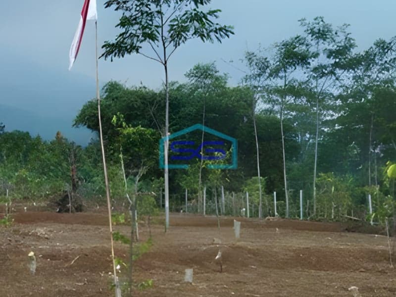 Dijual Tanah Kavling Siap Bangun di Ciapus Tamansari Bogor LT 2000m2