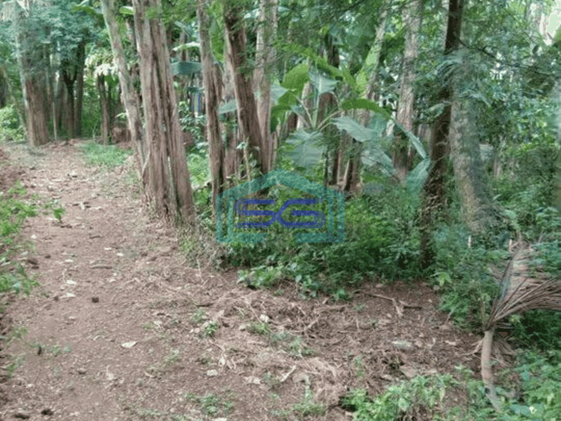 Dijual Tanah Cocok Gudang di Babat Legok Tangerang