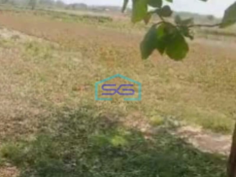 Dijual Tanah Lokasi Strategis di Grobogan Jawa Tengah Luas 24000 m²