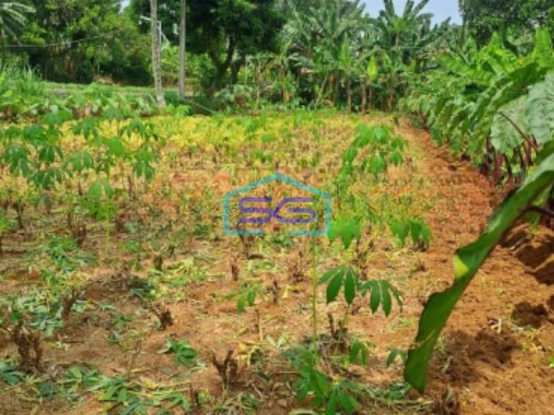 Dijual Tanah Di Kemang Bogor Luas Tanah 15000m2 Lokasi Bagus