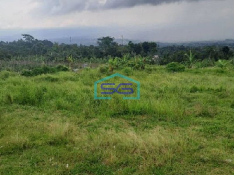 Dijual Tanah Lokasi Di Cijeruk Bogor Jawa Barat LT 20000m2