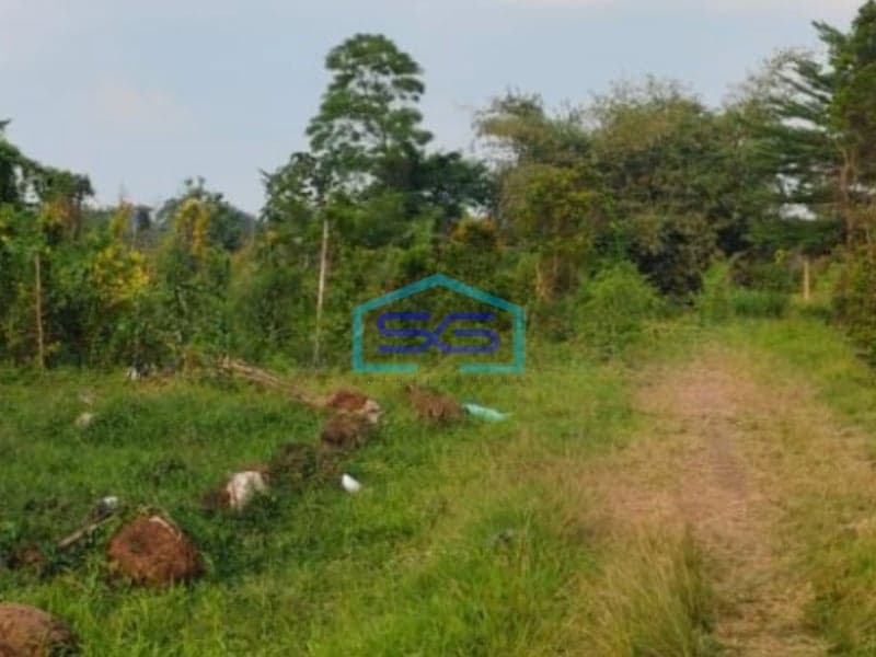 Dijual Tanah Lokasi Sangat Bagus Pinggir Jalan Utama Di Gunung Sindur Curug Bogor LT 8000m2