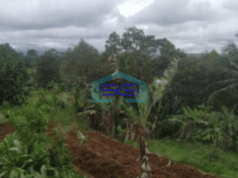 Dijual Tanah Untuk Gudang di Gianjar Sukabumi