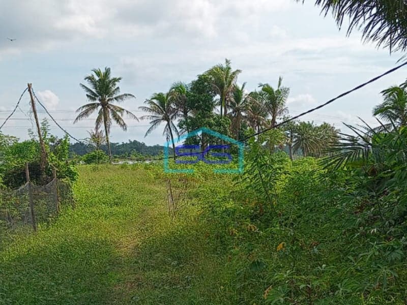 Dijual Cepat Tanah Super Strategis di Talang Putri Plaju Palembang  Luas 4071m2