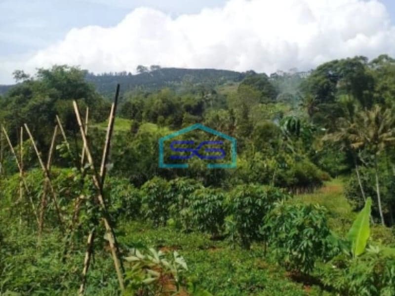 Dijual Tanah Desa Cijulang Bendungan Cipayung Bogor LT 10000m2