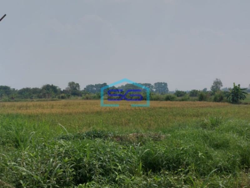 Dijual Tanah Strategis di Lokasi Pegayut Pemulutan Ogan Ilir Sumatera Selatan LT 50425m2