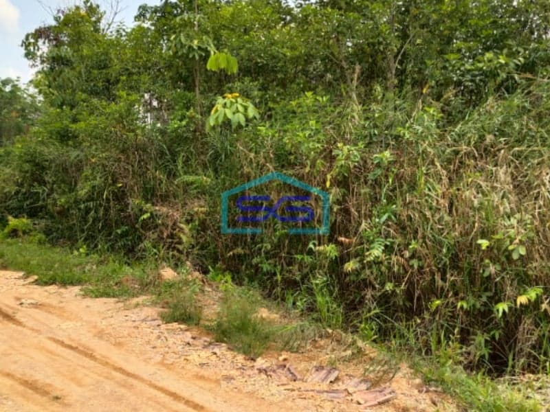 Dijual Tanah Luas Siap Bangun Talang Betutu Palembang Luas Tanah 2399m2