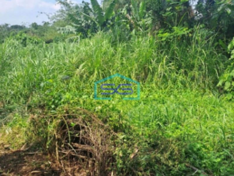 Dijual Tanah di Sukasari Rumpin Bogor SHM Luas 1200m2