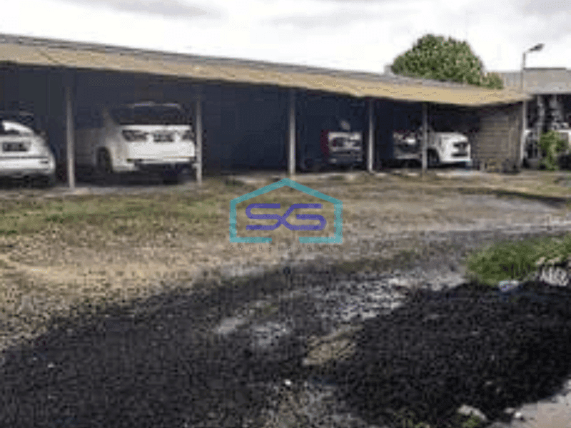 Disewakan Tanah Padat View Sawah Tibubening Canggu Badung Bali LT 1860m2