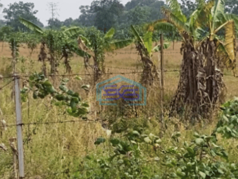 Dijual Tanah di Kertajati Jawa Barat Luas 28731m²