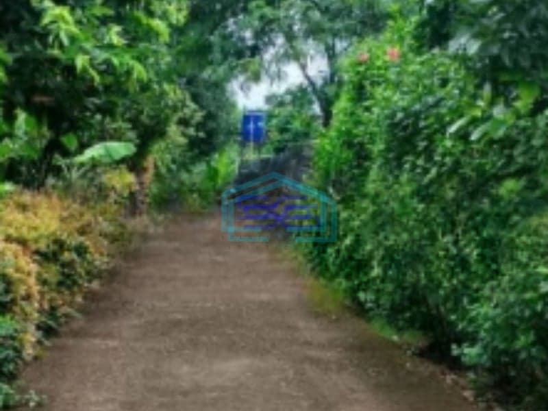 DiJual Cepat Tanah Luas dan Matang Pinggir Jalan Utama M Kahfi Jakarta Selatan ifikasi Luas Tanah 3000 m²