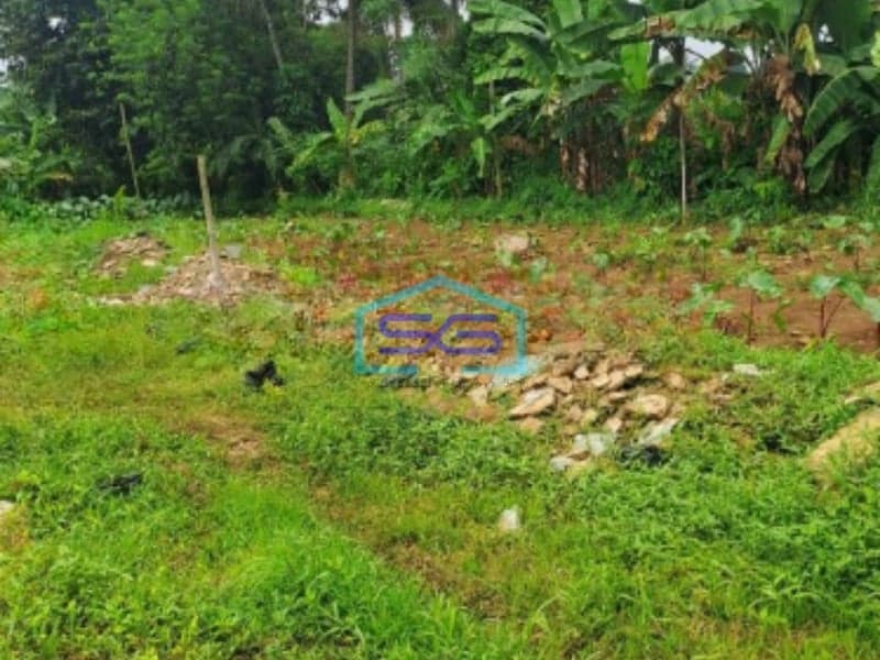 Dijual Tanah di Daerah Kemang Bogor Luas Tanah 3000m2