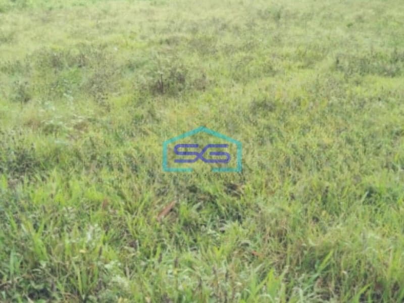 Dijual Tanah Murah Luas  4500 m² Lokasi Tangerang