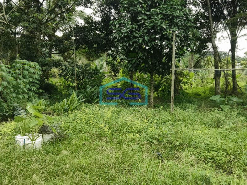 Dijual Tanah Jalan Padat Karya, Bukit Baru Palembang Luas 11382m2