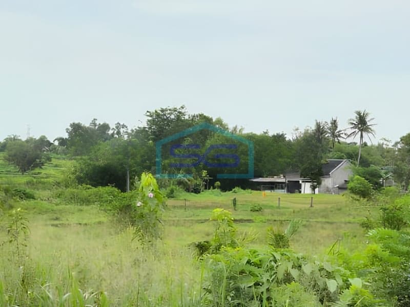Dijual Tanah Cileles 10 Hektar di Pinggir Jalan, Lebak Banten
