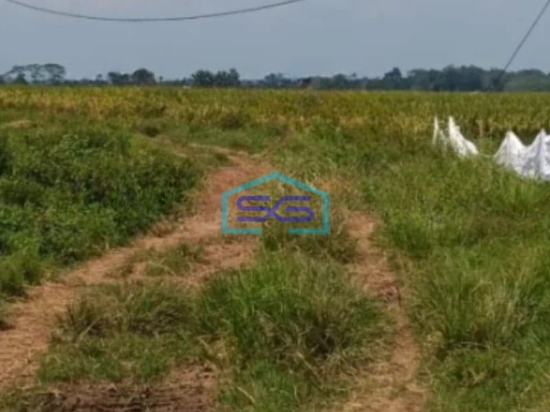 Dijual Cepat Tanah Industri di Subang Jawa Barat Luas 53000m2