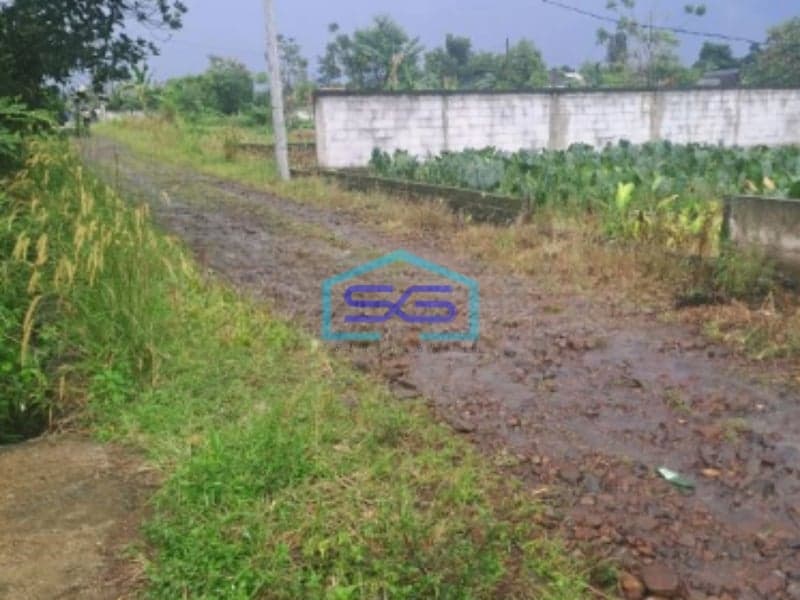 Dijual Tanah Di Ciampea Bogor Luas Tanah 1040m2 SHM