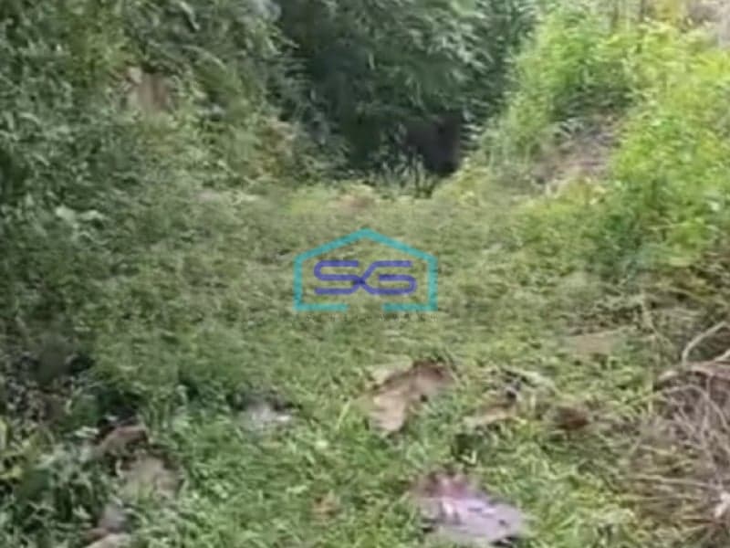 Dijual Tanah Lokasi Strategis Luas 150000 m² di Solo Jawa Tengah