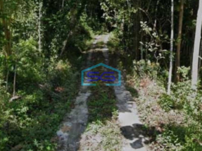 Dijual Tanah Pekarangan Lokasi Pengasih Yogyakarta Luas Tanah 50000m2