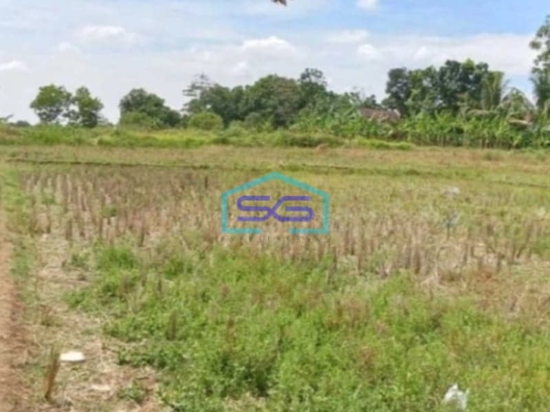 Dijual Tanah Kavling Industri di Subang Jawa Barat Pinggir Jalan Raya LT 300 Ha