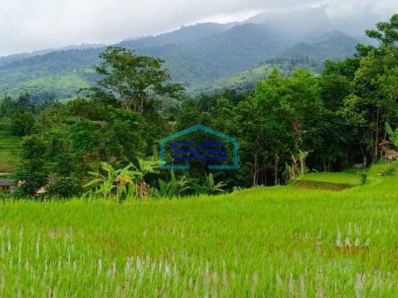 Dijual Tanah di Daerah Cidahu Sukabumi Luas 7000m2