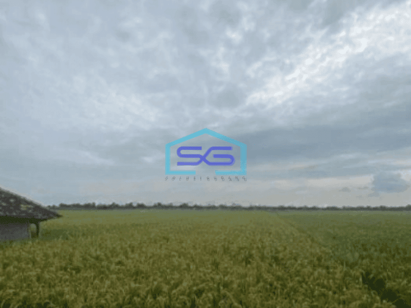 Dijual Tanah Kertajati Desa Kertasari Blok Karet Luas Tanah 4622m2