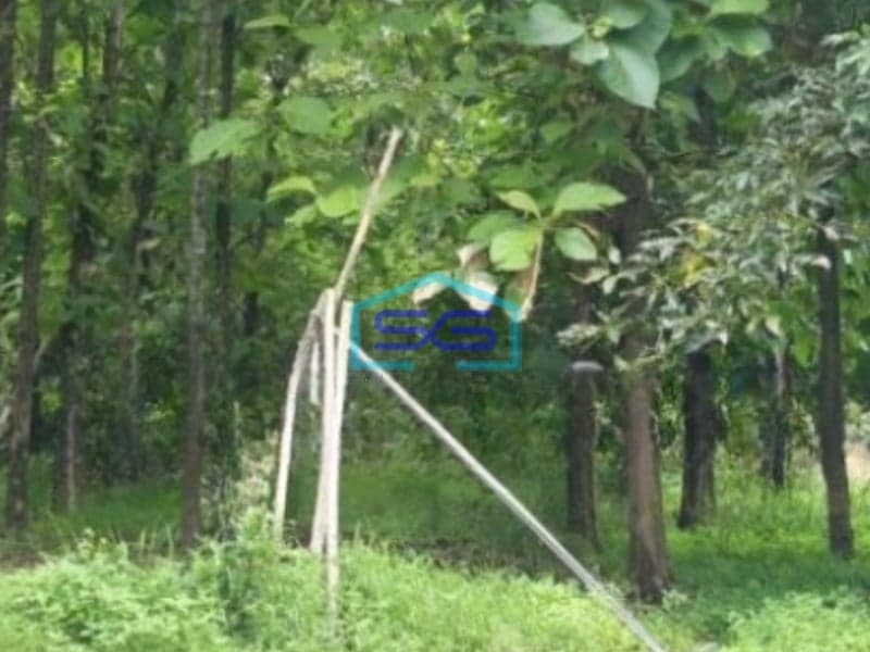 Dijual Tanah Luas 2455 m² Lokasi Sleman Yogyakarta