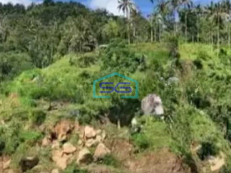 Dijual Tanah Cepat Murah Lokasi di Atas Bukit Karangasem Bali Luas Tanah  12400 m²