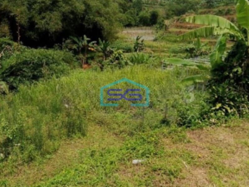 Dijual Tanah Jalan Terobosan Cipayung Puncak Megamendung Bogor LT 2500m2