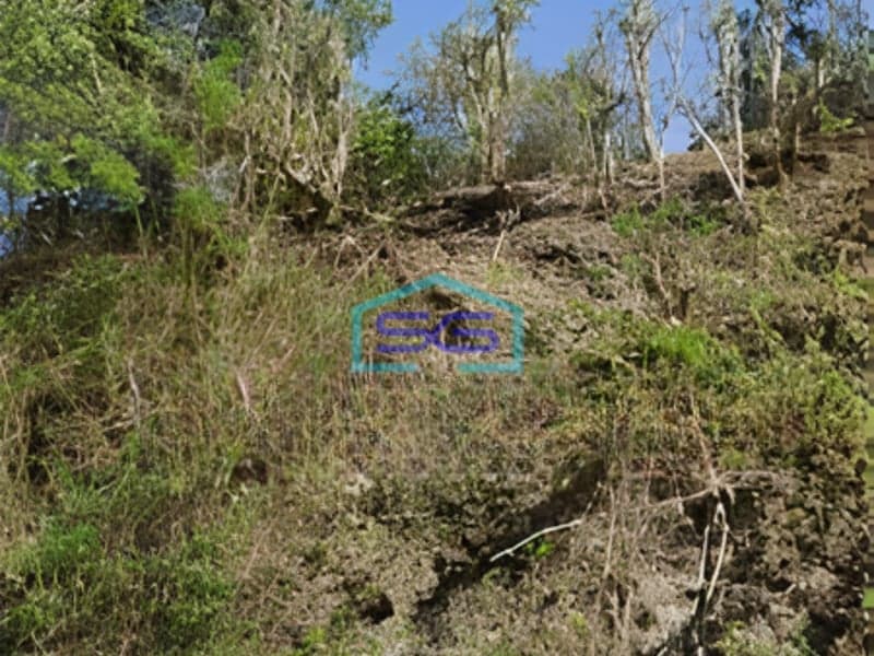 Dijual Tanah Luas 5200m2 Kawasan Premium Nusa Dua Badung Bali